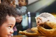 Boston Museum of Science Exhibit Halls Ticket thumbnail 6