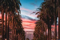 Los Angeles Hollywood Audio Driving Tour thumbnail 1