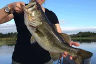 Clermont Bass Fishing Experience with Expert Guide 4 hr thumbnail 2