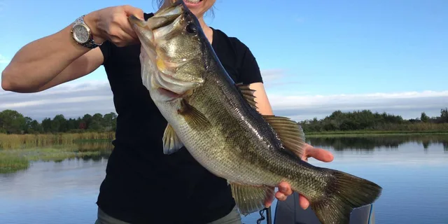 Clermont Bass Fishing Experience with Expert Guide 4 hr - Image 2