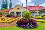 Oahu Shuttle to Dole Plantation & Haleiwa thumbnail 1