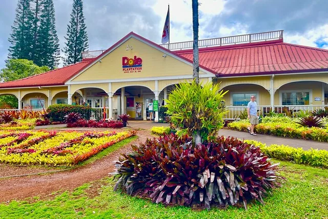 Oahu Shuttle to Dole Plantation & Haleiwa - Image 1