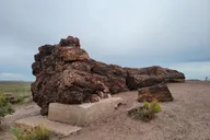 Sedona Petrified Forest and Painted Desert Tour thumbnail 1