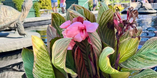 Boston Day Trip to New England Botanic Gardens - Image 6