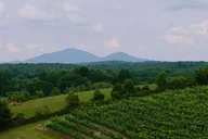 Atlanta Wine Country Tour thumbnail 4