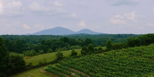 Atlanta Wine Country Tour - Image 4