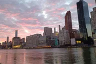 New York City Roosevelt Island Walking Tour with Tram Ride thumbnail 2