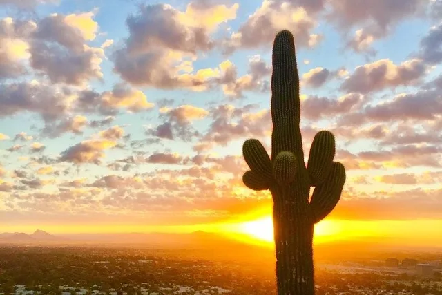 Phoenix Sunrise Guided Hike - Image 5