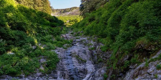Ketchikan Mountain Lake Trek - Image 3