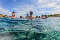 Blue Heron Bridge Snorkel Tour 75 min thumbnail 1