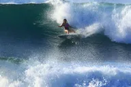 Santa Monica Group Surf Lesson thumbnail 5