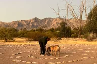 Tucson Mindful Nature Walk with Life Coach thumbnail 2