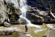 Gatlinburg Old Growth Forest Hike thumbnail 2
