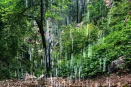 Spearfish Canyon Hike thumbnail 4