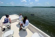 Everglades Mangrove Wilderness Boat Tour thumbnail 4