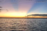 Indian River Lagoon Sunset Boat Tour thumbnail 5