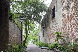 Charleston Hauntings Tour 90 Min