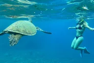 Oahu Snorkel Adventure with Hawaiian Culture 90 min thumbnail 2