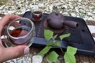 Santa Barbara Nature Trail Hike and Tea Ceremony thumbnail 4