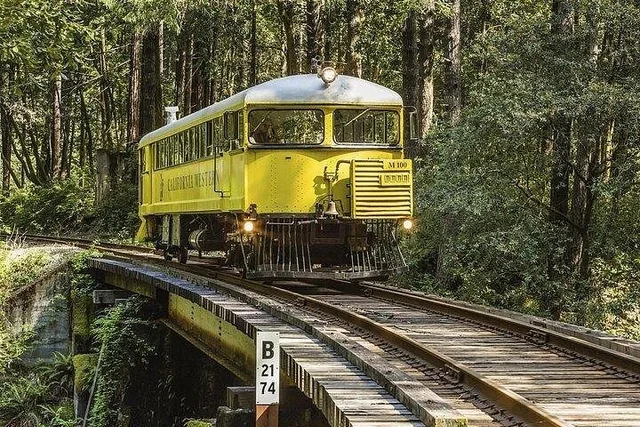 Fort Bragg Pudding Creek Train Ride - Image 5