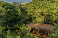 Oahu Chocolate Farm Tour with Tasting thumbnail 2