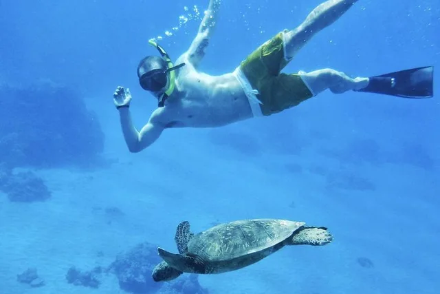 Ka’anapali Beach Snorkel Tour 2.5 Hours - Image 4