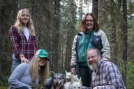 Fairbanks Mushing Cart Ride and Kennel Tour thumbnail 2