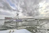 Orange Beach Dolphin Watching Cruise thumbnail 2