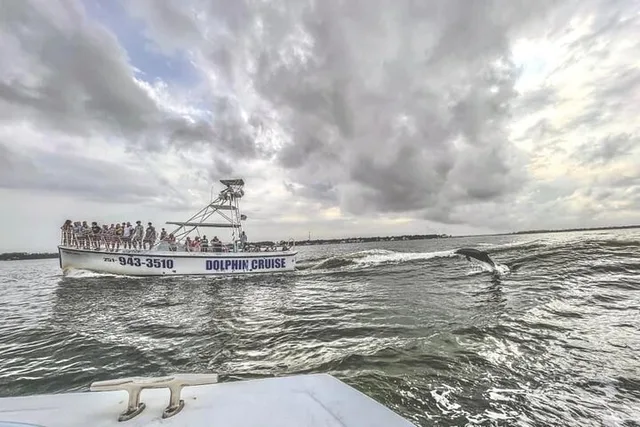 Orange Beach Dolphin Watching Cruise - Image 2