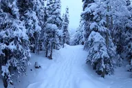 Anchorage Winter Valley and Forest Hike thumbnail 4