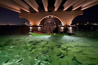 St. Pete Beach Glass Bottom Kayak Night Tour