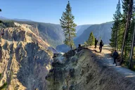 Yellowstone Grand Canyon Rim and Loop Hike with Lunch thumbnail 1