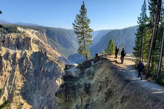 Yellowstone Grand Canyon Rim and Loop Hike with Lunch