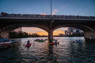 Austin Kayaking Bat Tour at Congress Bridge