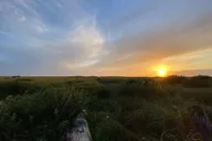Seabrook Washington Private Shore Exploration thumbnail 3