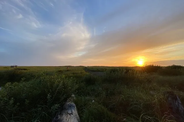 Seabrook Washington Private Shore Exploration - Image 3