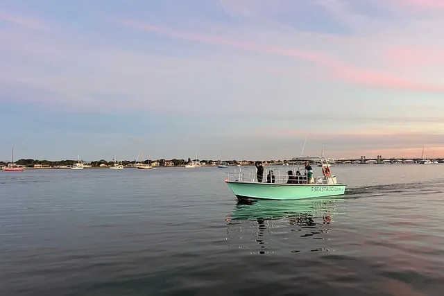 St. Augustine Dolphin and Nature Boat Excursion 90 min - Image 3