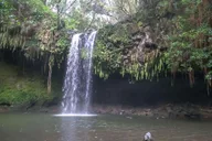 Maui Road to Hana Self-Guided Audio Tour thumbnail 3