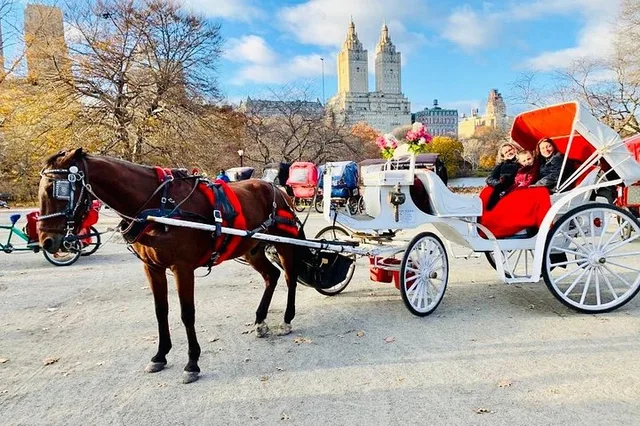 New York Central Park Carriage Ride 45 Min - Image 2