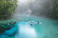 Gilchrist Blue Glass Bottom Kayak Eco Tour 2 hr thumbnail 3