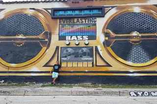 Miami Bus and Citywalk Tour