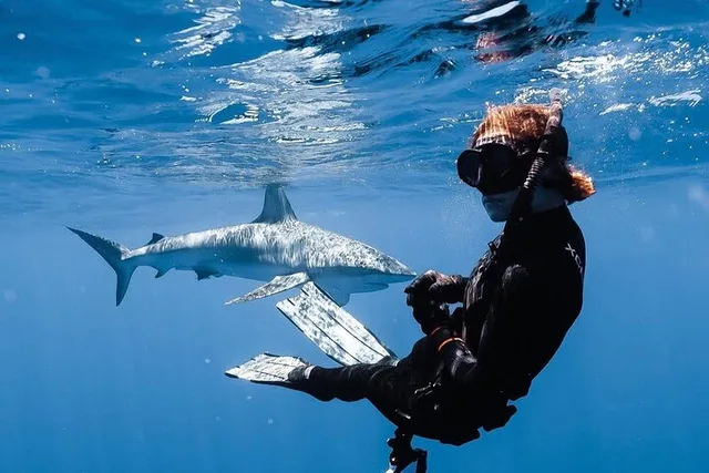 Oahu Shark Diving and Snorkeling - Image 3