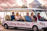Washington, DC Cherry Blossom Cart Tour 2 hr thumbnail 1