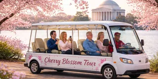 Washington, DC Cherry Blossom Cart Tour 2 hr