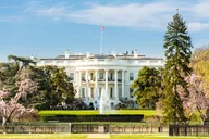 Washington DC Sightseeing Private Tour thumbnail 5