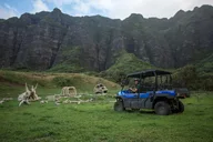 Oahu Kualoa Ranch UTV Raptor Tour 2 hr thumbnail 6