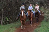 Oahu Horseback Ride with Picnic 2 hr thumbnail 1