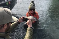 Kenai River Fishing Trip thumbnail 6