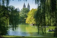 New York Horse Carriage Ride in Central Park 45 min thumbnail 3