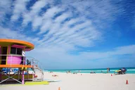 Miami City and Biscayne Bay Tour with Dolphin Mall thumbnail 6